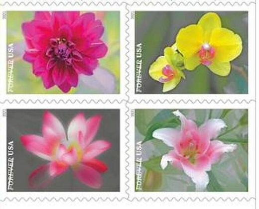 GARDEN BEAUTY FOREVER STAMPS