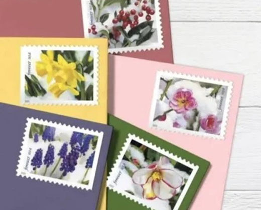 SNOWY-BEAUTY FOREVER STAMPS